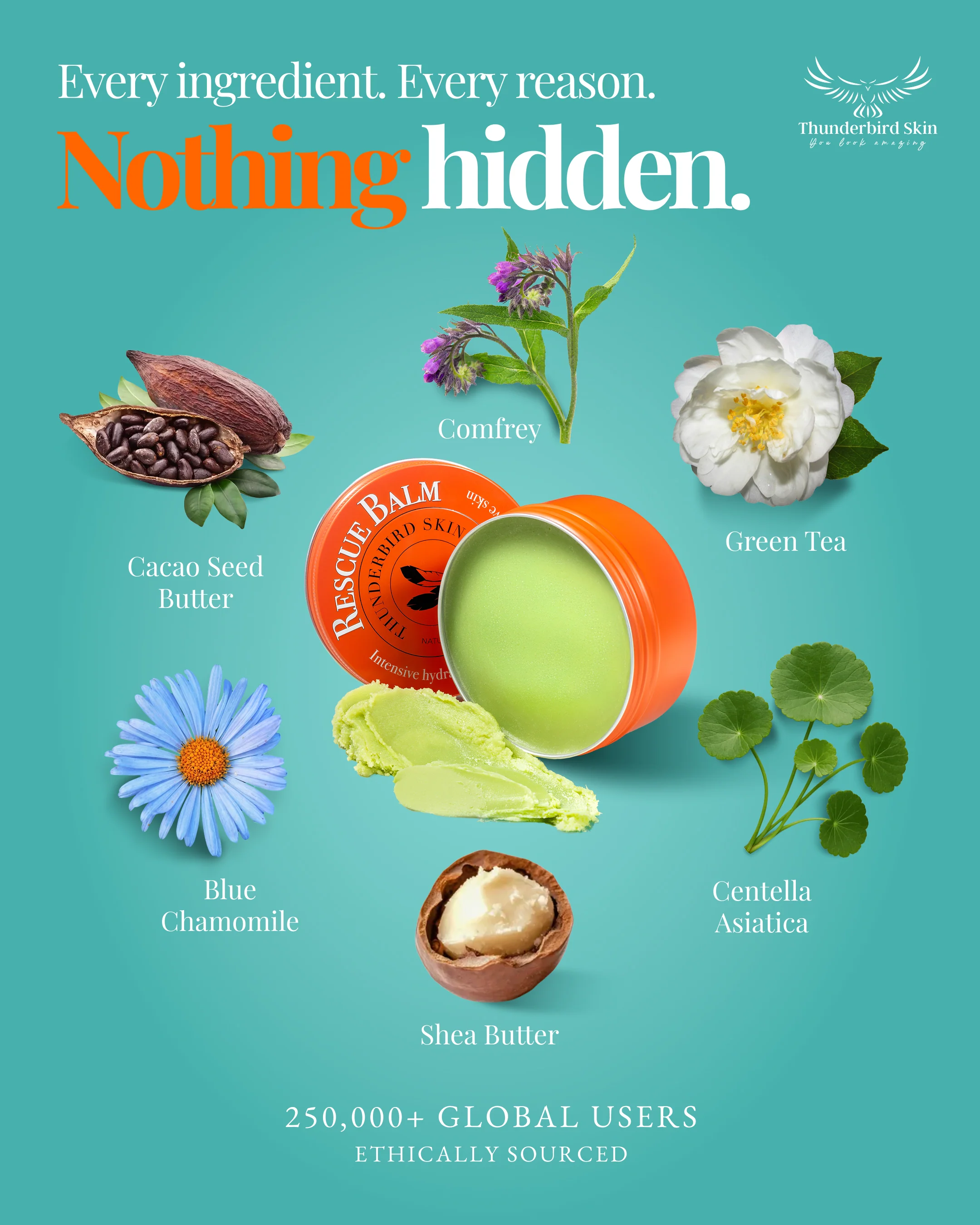 #1 BEST SELLER: Rescue Balm - Image 5